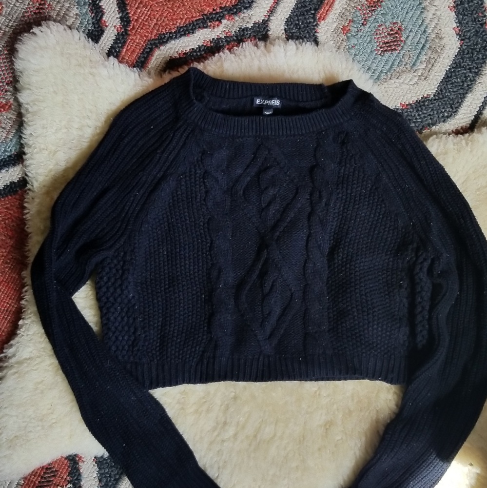 Express crop sweater